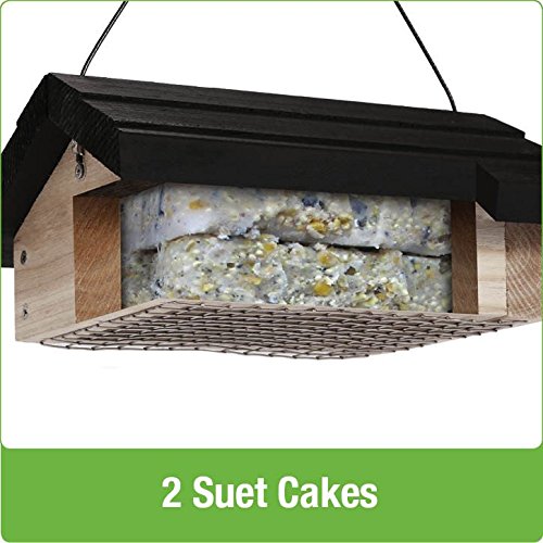 Nature's Way Bird Products BWF2 Bamboo Suet Upside-Down Bird Feeder