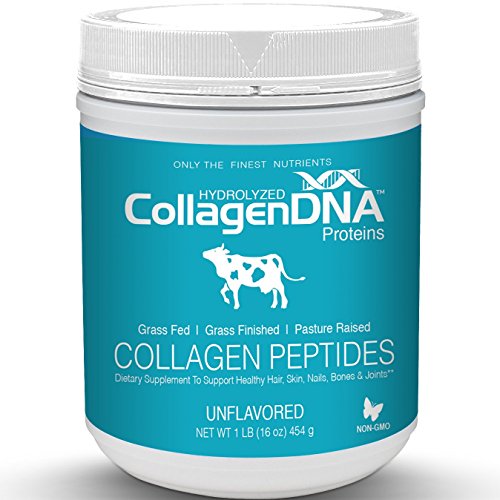 Premium Hydrolyzed Collagen Peptides Powder - Grass Fed Pasture Raised, Non-GMO, Paleo Friendly & Gluten-Free - Tasteless, Odorless and Easy to Mix (16 oz)