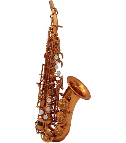 Amazon.com: Eastern music German style gold lacquer curved soprano