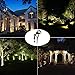 Romwish 5W LED Landscape Lights - AC120V Outdoor Spot Light 3000K Warm White Pathway Light, IP65 Waterproof for Driveway, Yard, Lawn, Patio, Swimming Pool, Garden Lights with Spike Stand(1 Pack)
