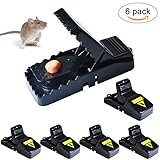 HAOZAN Mouse Trap That Work, Simple Effictive Mice Catcher and Killer, Especially Perfect for Small Rodent - 6 Pack