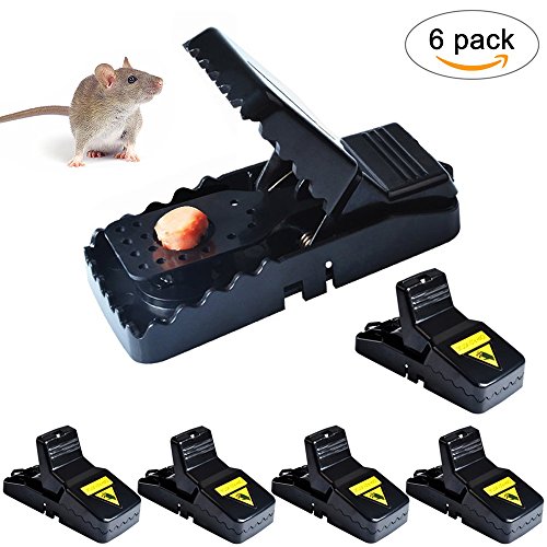 HAOZAN Mouse Trap, Rat Traps That Work, Reusable Durable Mice Catcher and Sensitive Effective Vole Killer, Especially Perfect for Small Rodent (6 Pack New Upgraded Rat Traps) HAOZAN Mouse Trap, Rat Traps That Work, Reusable Durable Mice Catcher and Sensitive Effective Vole Killer, Especially Perfect for Small Rodent (6 Pack New Upgraded Rat Traps)