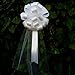 White Wedding Pull Bows with Tulle Tails - 8