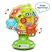 VTech Lil' Critters Spin and Discover Ferris Wheel (Frustration Free Packaging)