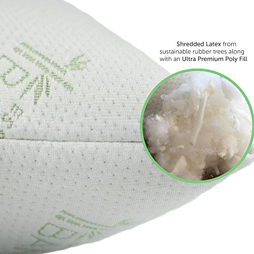 Essence of Bamboo Derived Rayon Pillow with Shredded Latex / Poly Fill