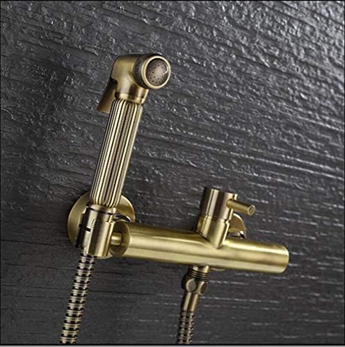 FZHLR Bidet Faucet Set Brass Hot & Cold Mixer Toilet Corner Valve Handheld Shower Head Wash Car Pet Sprayer Mounting Hole Distance 15Cm,Antique Brass B