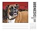 Just 2017 Boxers 2017 Box Calendar