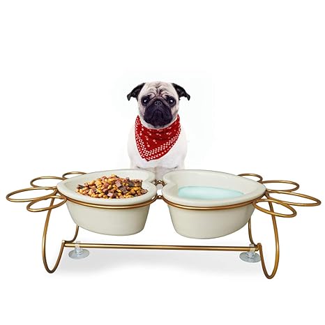 Petaflop Cat Feeding Bowls Small Dog Bowls Set Ceramic Water Bowl