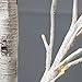 EAMBRITE 6FT 88LT Warm White LED Winter Artificial Birch Wedding Christmas Home Decorative Tree Light for Indoor and Outdoor Use