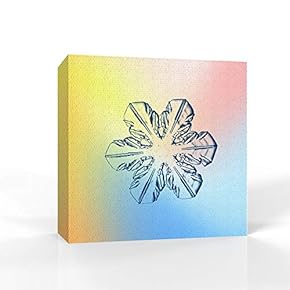 wall26 - Canvas Wall Art - Snowflake Theme...