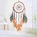 Ricdecor Handmade Indian Peacock Feathers Dream Catcher Wall Hanging Car Hanging Decoration Ornament 25.6 Inch Long (Dia 7