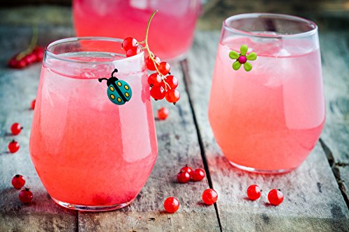 Wine Glass Charms Magnetic Drink Markers Set of 6 Fun Summer Cocktail Identifiers with Ladybug Frog and Flower Wine Charms