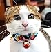 Necoichi Daruma Charm Bow Tie Cat Collar (Red)