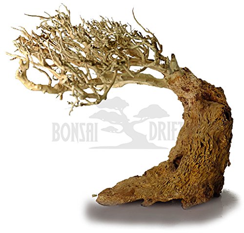 Bonsai driftwood random pick aquarium decoration tree, …