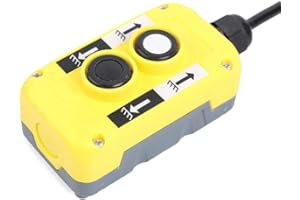 DNYSYSJ 4 Wire Dump Trailer Remote Control Switch for Hydraulic Pumps Double Acting Hydraulic Pumps 12V DC 2-Button