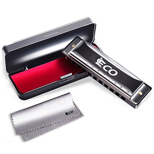 Diatonic Harmonica – 10 Hole Blues Harp with Case, Learning Instruction, Polishing Cloth, Key of C