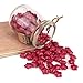 Sealing Wax Beads Set, Yoption 120 Pieces Wine Red Star Shape Seal Wax Kit with 1 Wax Melting Spoon and 2 Candles for Wax Seal Stamp (Wine Red)