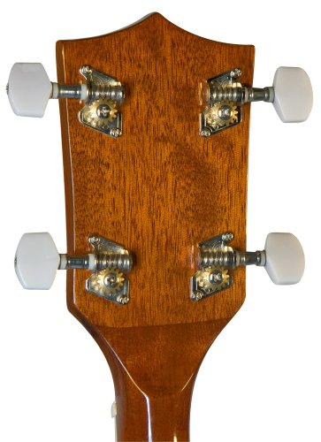 3 Rover+RB+20+Open+String+Banjo
