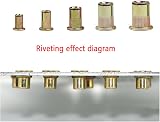 Lemiyoo 192 Pcs Rivet Nuts Kit M3-M12 Zinc Plated Carbon Steel Rivnuts view 5