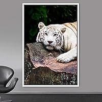 Framed Canvas Wall Art Tiger Animals Chic Dramatic Lion Living Room Multicolor Photography - 16x24 inches