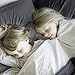 Travel Pillow Case 12x16 Size Egyptian Cotton Set of 2 Zipper Closure Toddler Pillowcase 600 Thread Count 100% Egyptian Cotton Pack of 2, Travel Pillow Cover 12 x 16, Dark Grey Solid