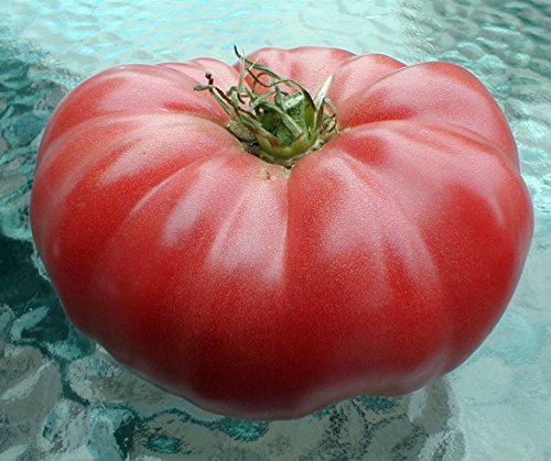 Watermelon Beefsteak Tomato 25 Seeds - Impressive! Watermelon Beefsteak Tomato 25 Seeds - Impressive!