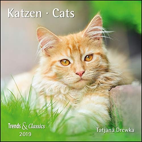 Katzen Cats 2019 Trends & Classics Kalender (German) Calendar – 17 Apr 2018