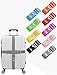 Galopar T60 head massager