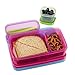 Rubbermaid LunchBlox Kids Lunch Box Container Set, Flat, Assorted Colors