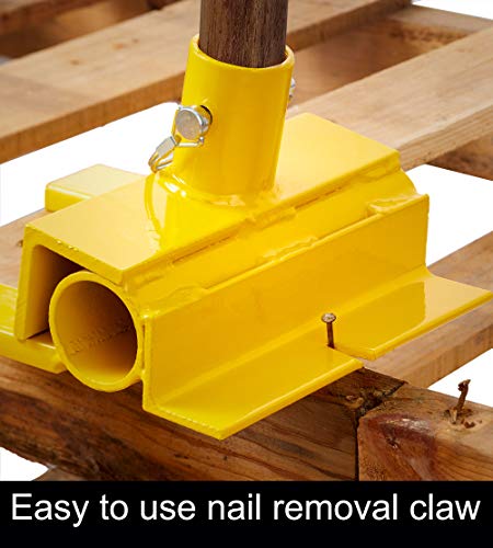 2 Molomax+Dog+diaper