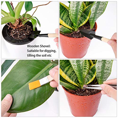 Bonsai Tools Kit 9 PCS for Starter - Fold Scissor, Brush, Tweezer, Mini Rake, Shove Weeding Fork Set - Thumbnail 6