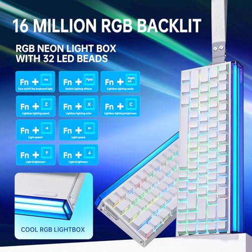 Aula Hero 68 HE 60% Gaming Keyboard Wired, Hall Effect Magnetic Switch Creamy Keyboard with Magnetic Switch,Adjustable Actuation, Fast Trigger Mode, 8K Hz Polling Rate 0.01mm RT Accuracy