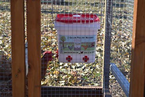 2 Gallon Chicken Waterer - Horizontal Nipple Setup (4 Nipple Corner)
