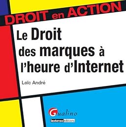 Le  droit des marques à l'heure d'Internet