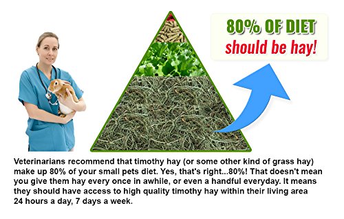 Small Pet Select 1st Cutting "High Fiber" Timothy Hay Pet Food, 10 lb.