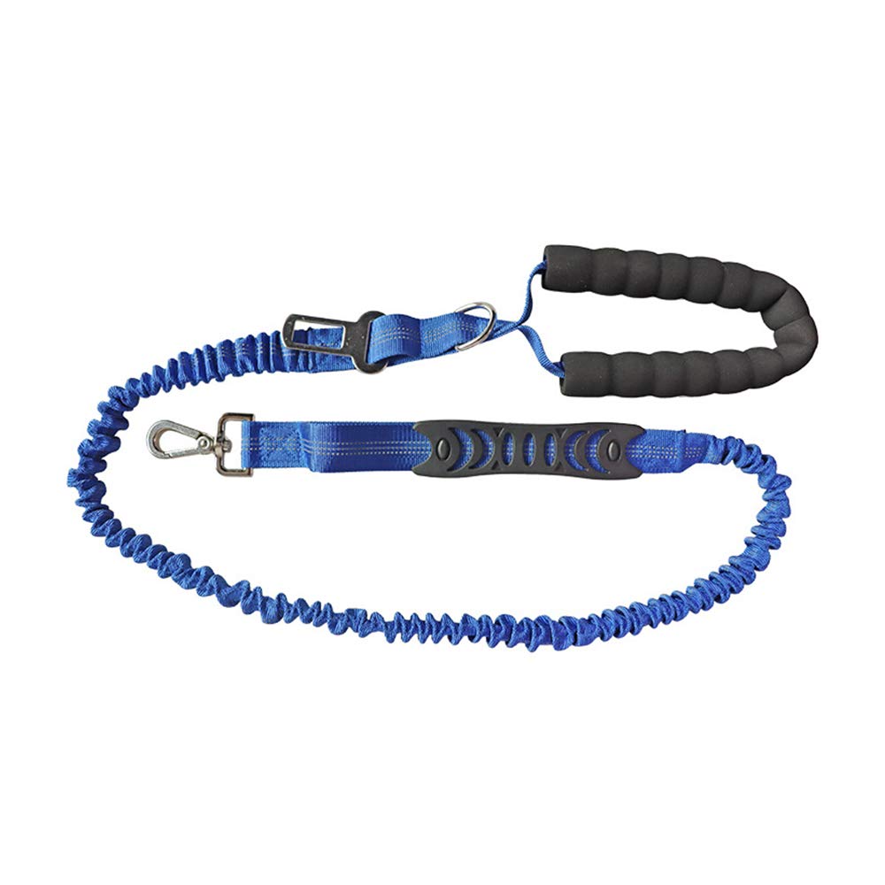 Dog Leash Dog Training Leash with Comfortable Padded Handle for Small