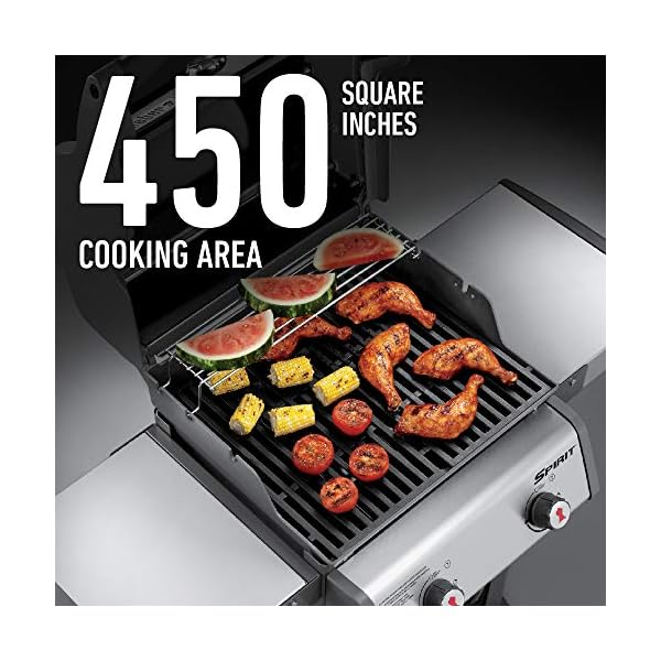 Weber-46110001-Spirit-E-210-LP-Gas-Grill-Black2-Burner