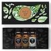 Edens Garden Floral Essential Oils 3 Set – 100% Pure Therapeutic Grade Aromatherapy Blends: Ginger Flower, Lavender & Magnolia – No Fragrance Oil, Undiluted for Diffuser & Home Aroma, 10 ml/ 3 Pack
