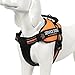 Chai's Choice Dog Harness Vest X Small (Orange) | Comfortable & Secure with Adjustable Strap Soft Padded Dog Vest | No-Choke & Easy Control Pet Oxford | 3M Reflective Stripes for Dog Visibility