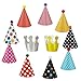 Wubao Birthday Party Hats Fun Party Hats Set for Kids and Adults 11PCS