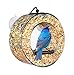 BirdMaster Window Bird Feeder - Acrylic Circular Design - Strong Suction Cups - Drain Holes - Squirrel Proof - Easy to Install & Clean – Outdoor for All Small Wild Birds [Gift-Ready Packaging]