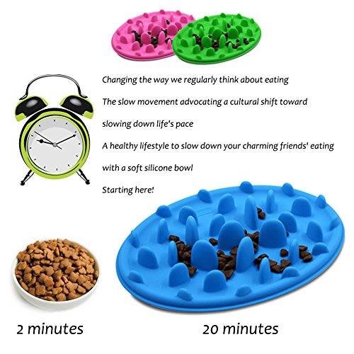 Slow Feed Dog Bowl, PETBABA Interactive Puzzle Nonskid Silicone Dog Food Bowl to Slow Down Eating Green S