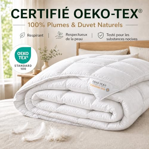 Yalamila Couette 200x200 4 Saisons | pour lit 2 Personnes | Couette Plumes & Duvet d'oie |100% Coton | Édredon Ultra Douce et Gonflant | Certifiée Oeko-Tex | Lavable en Machine，Blanc