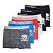 Crazy Cool Men's Nylon Stretchable Seamless Boxer Briefs Underwear 6-Pack, Bones and Skull
