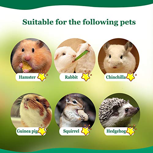 3 Bwogue+Squirrel+Rabbits+Chinchilla+Hamster