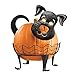 Collections Etc Decorative Dog Pumpkin Holder with Light-up Eyes, Black