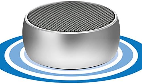Portable Bluetooth Speaker, Super Stereo Mini Metal Wireless Speaker System, Micro USB 3.5mm and TF Card Port for iPhone Android PC Tablet TV Outdoors