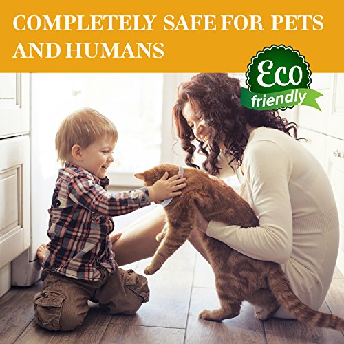 Organic Way Flea Collar - Tick Collar for Cats - Made for Germany - 100% Safe & Eco-Friendly – Based on Natural Oils - Flea and Tick Prevention Pets - 6-Month Protection – Waterproof Cat Flea Collar - Thumbnail 5