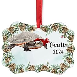 Pink Belly Sideneck Turtle Christmas Ornament 2024