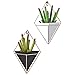 2 Pack Modern Decorative Geometric Wall Decor Containers Hanging Planter Vases for Succulent Plants/Air Plant/Faux Plant/Mini Cactus Plant/Artificial Plants and More (Black and White)